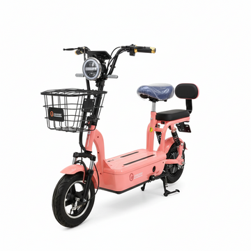 بواسطة 2 E Scooter