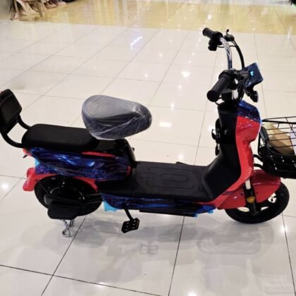 Aster D2 E-Scooter