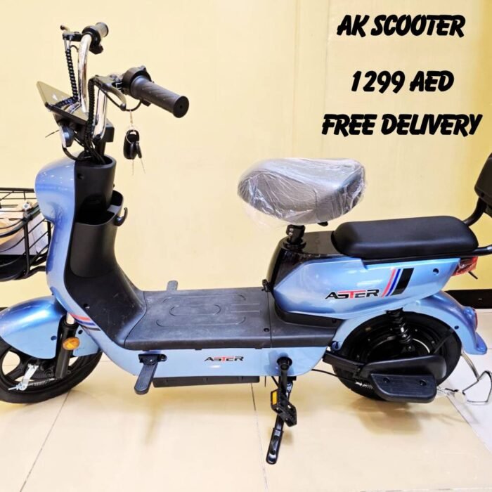 Aster D2 E-Scooter