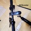 Aster Mi - Image 3