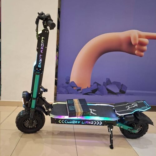 L6 Pr0 E- Scooter