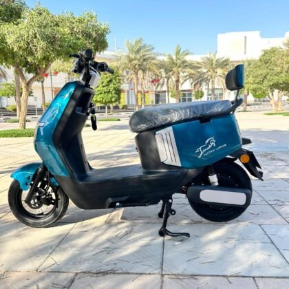 Lucky Lian Vespa Bike