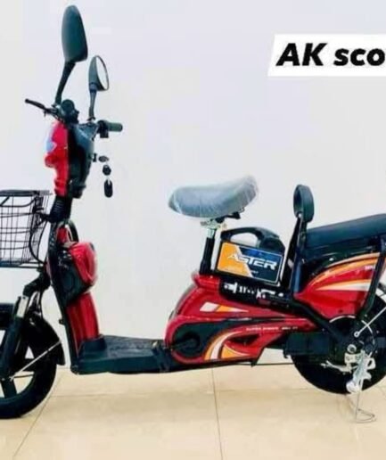 Aster Cargo E-Bike with strong motor, durable frame, and large cargo space
