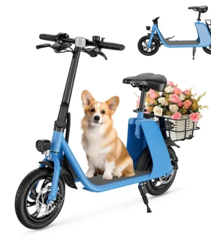 C2 WH Electric Scooter