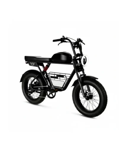 D5  WH Electric Scooter