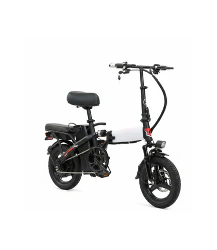 E-BICYCLE