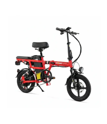 Electric Bicycle