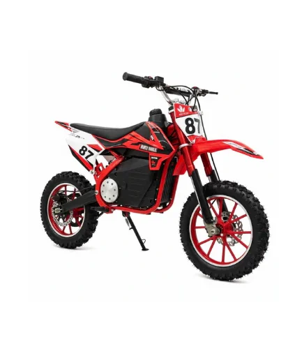 Kid Electric Scooter