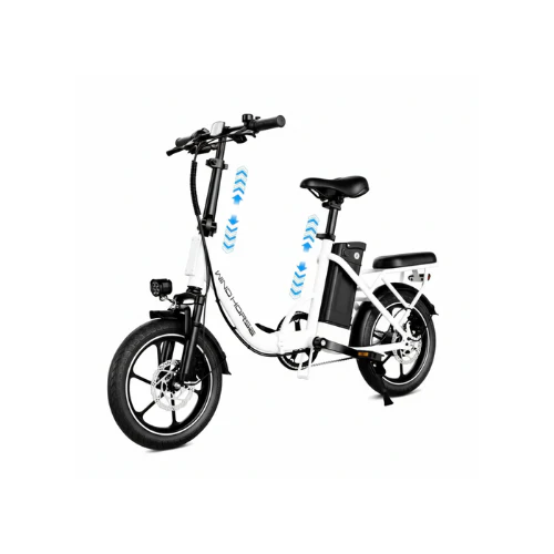 W2B WIND HORSE ebike WIND HORSE W2B ebike with strong motor and durable frame