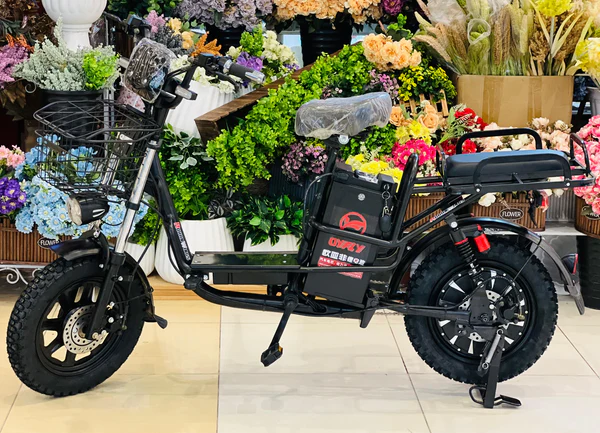YLQ_ebike