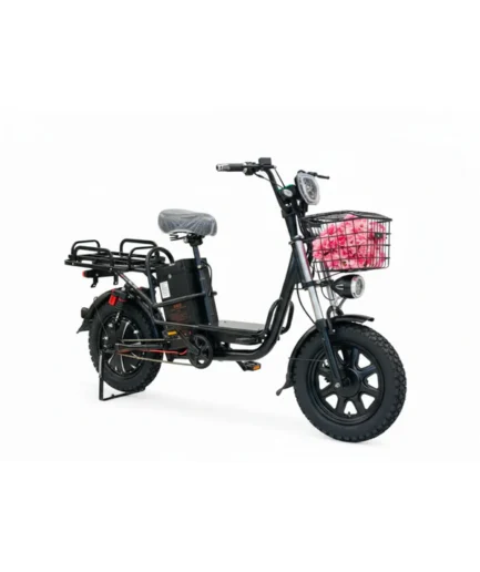 Rohan wing electric scooter