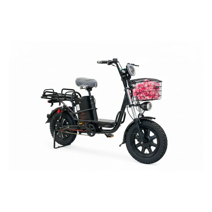 YLQ_electric_bicycle Rohan wing electric scooter